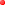 ���X�g